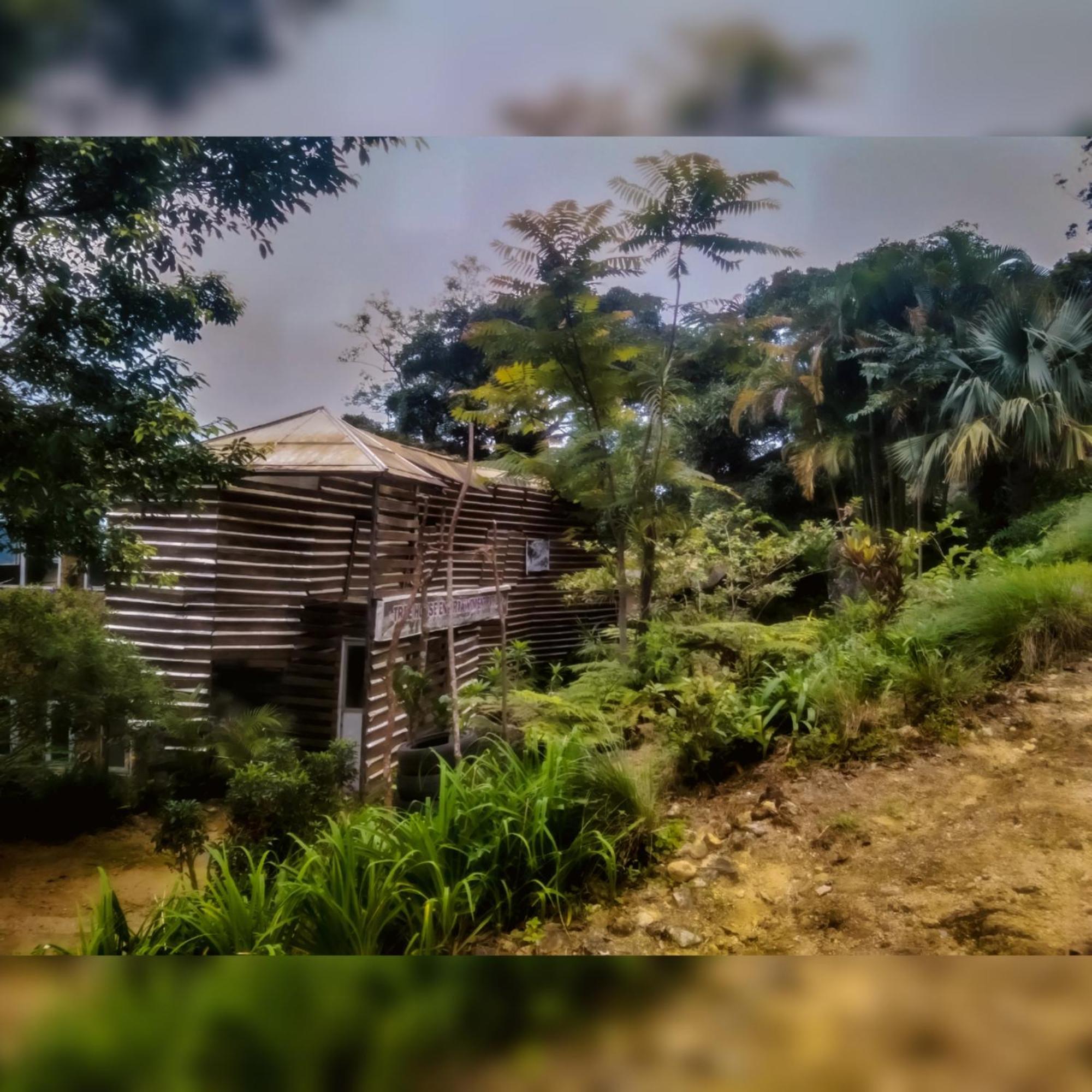 康提Jungle Tree House Rangala住宿加早餐旅馆 外观 照片